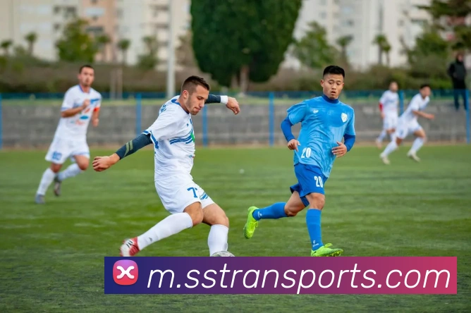 App Interface Preview